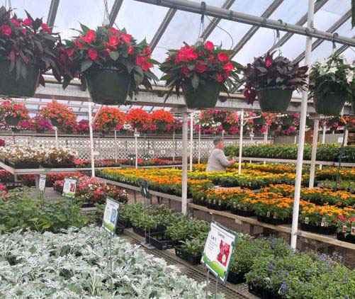 Knollwood Garden Center And Landscaping