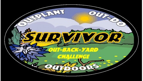 Survivor: Out-Back-Yard Challenge graphic