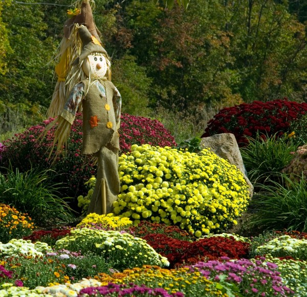 Scarecrow in Garden