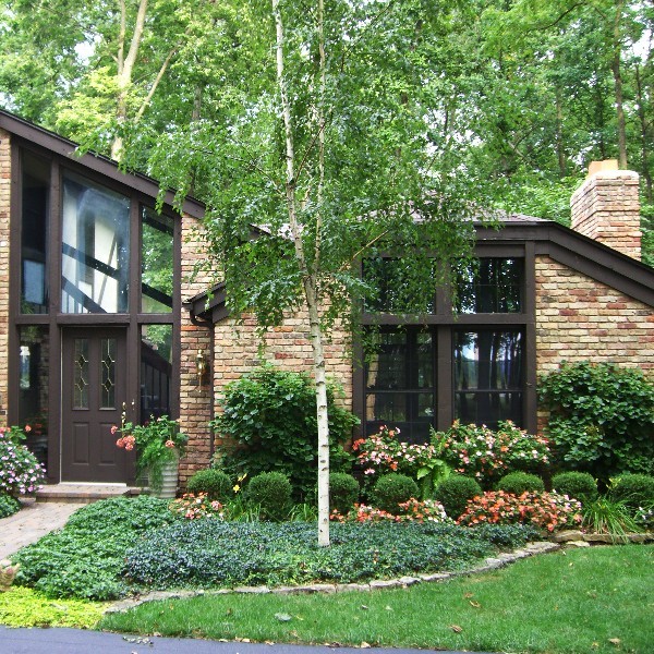 Front lawn landscape with tree