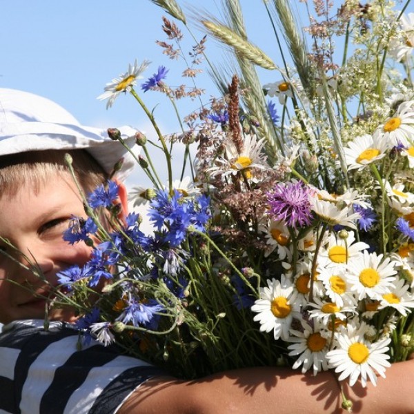 Child holding wildflowers