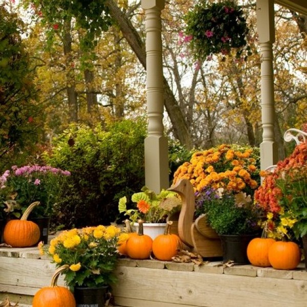 Fall deck with flowers and pumpkins