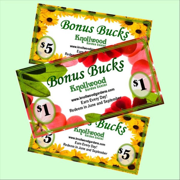 Bonus Bucks