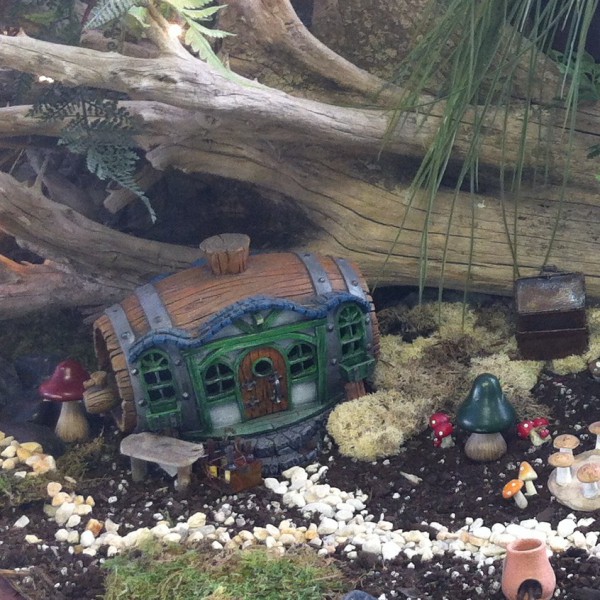 Fairy Garden