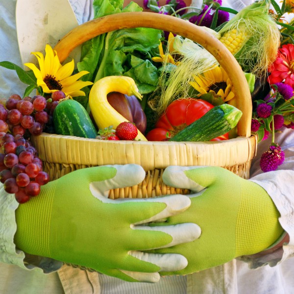 Spring Produce Basket