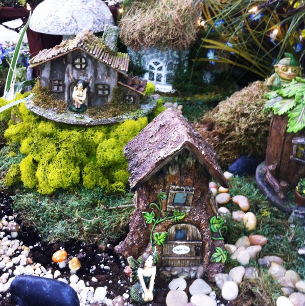 Fairy Garden