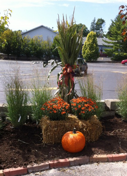 Fall straw bale, pumpkins, mums, corn shocks