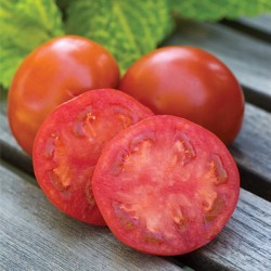 Seedless tomato