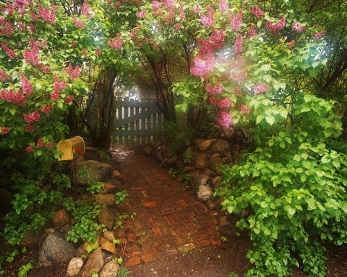 Garden pathway