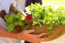 wooden bowl of produce