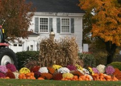 White house with corn stalk and mum display