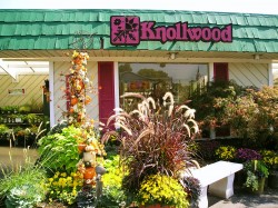 Knollwood storefront