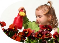 Child watering flowers