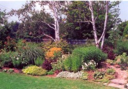 Backyard Garden