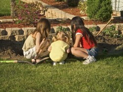 Children in a garden