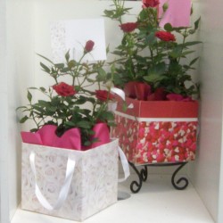 Valentine's Day box