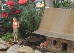 Fairy Garden