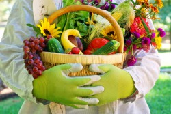 Basket of flowers and vegetables