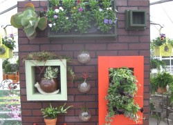 Vertical Gardening