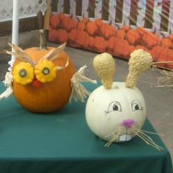 Decorated Pumpkins