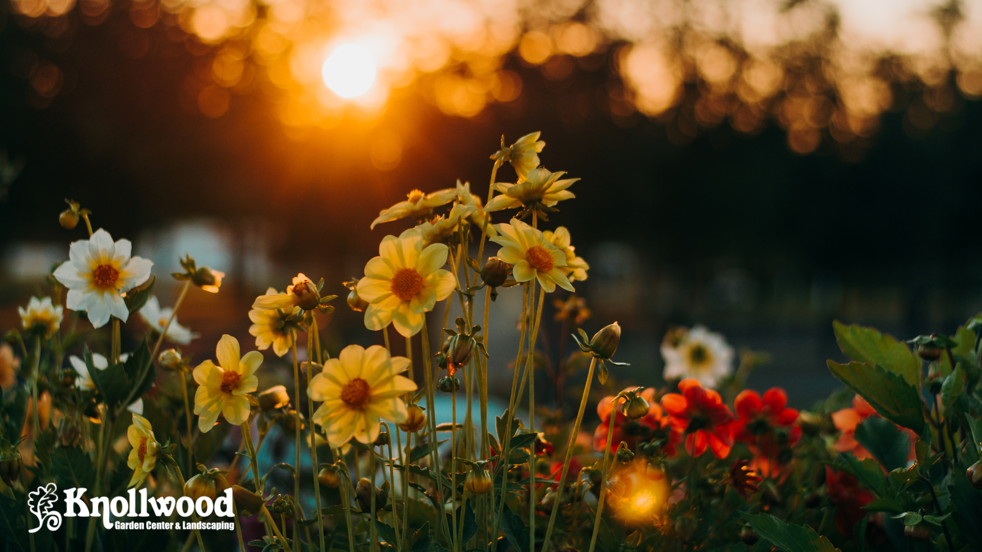  How to Make the Most of Your Garden Space, For Any Size or Type (Part One) 