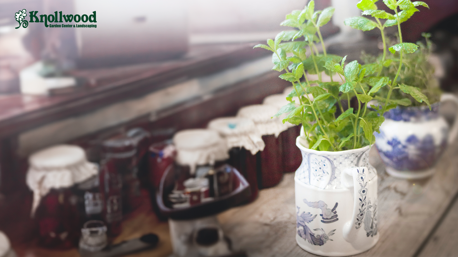 Your Complete Guide to Growing Winter Herbs | Knollwood Garden