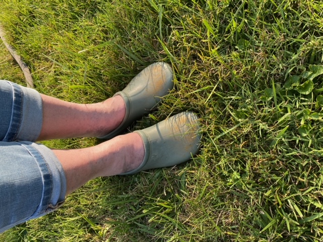 Why Are My Shoes Orange! | Knollwood Garden Center