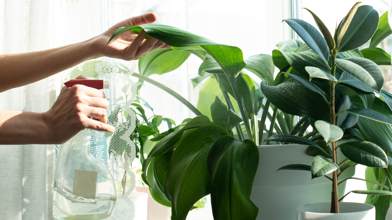 plant stool indoor 63
