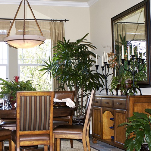 Houseplants