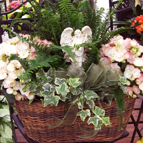 Blooming Baskets