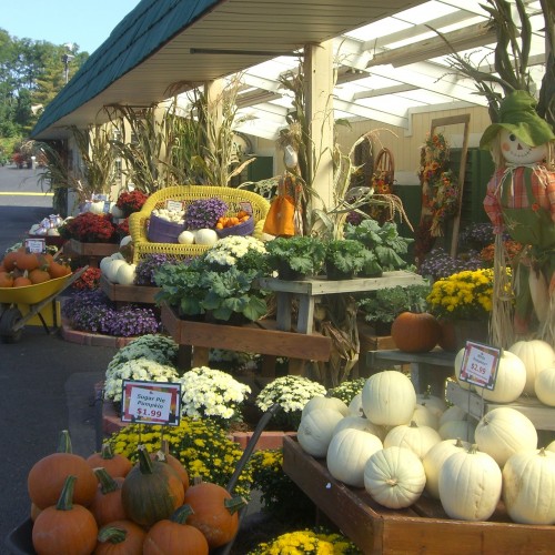 Harvest Decor fresh from the fields