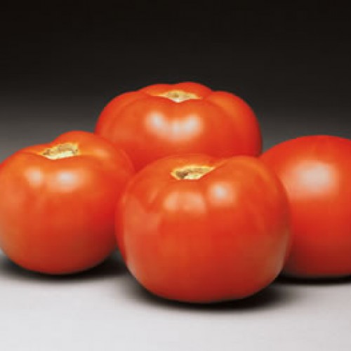 Tomato 'Better Bush'