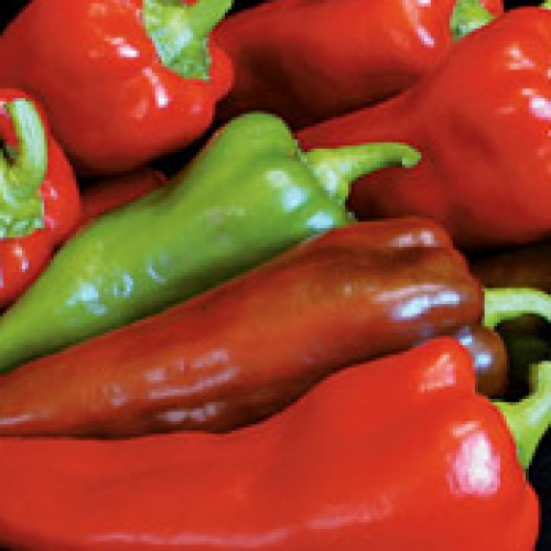 Pepper 'Carmen'