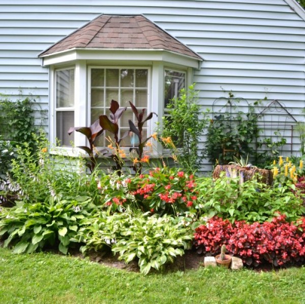 Colorful Annuals and Tropicals