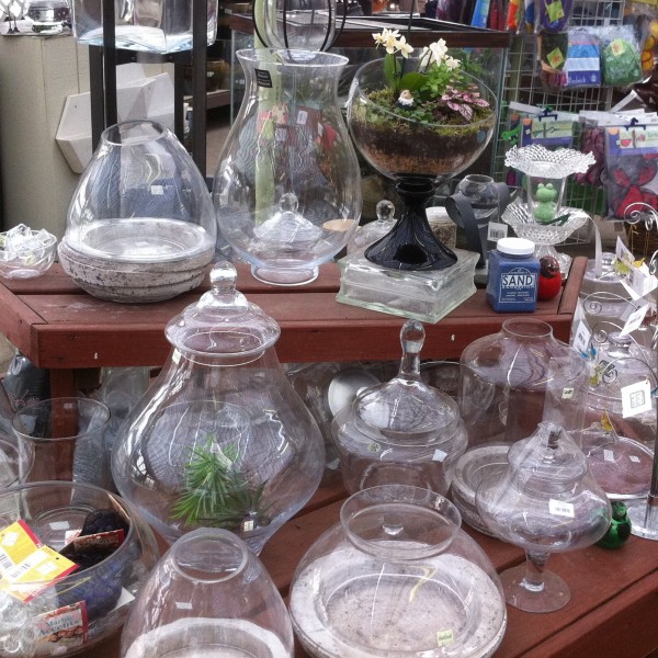 Terrariums