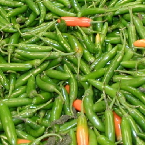 Pepper 'Serrano'