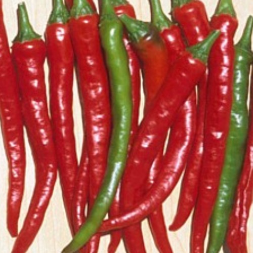 Pepper 'Cayenne'